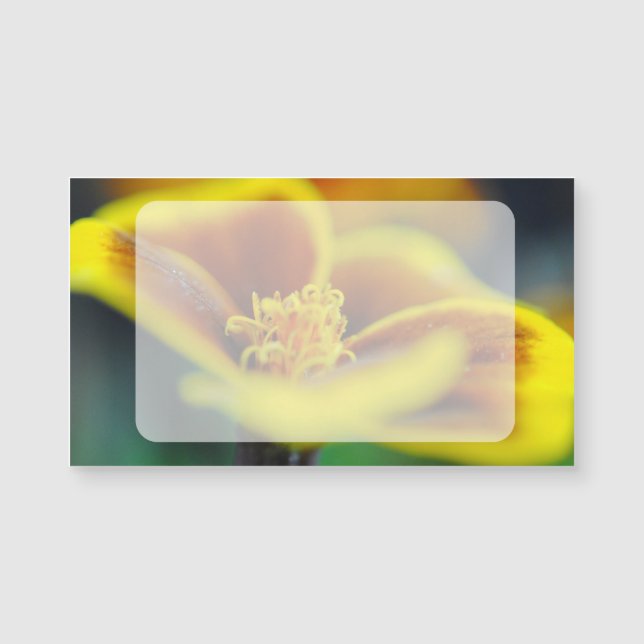 Marigold Close (Voorkant)