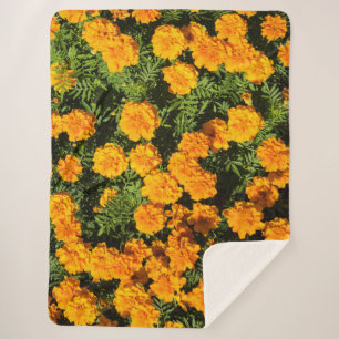 Marigold flower in bloesems sherpa deken