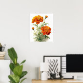 Marigold Flowers Art Imprimer Poster (Bureau à domicile)