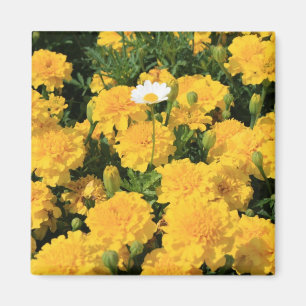 Marigold Flowers en een Daisy Flower Magnet Magneet