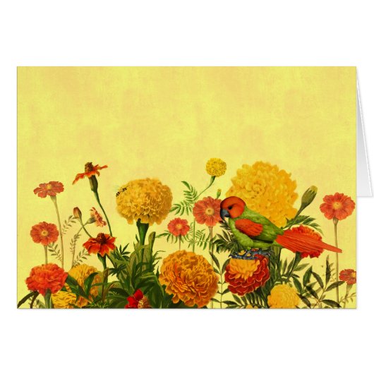 Marigold Garden in Orange and Golden Hues (Devant Horizontal)