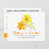 Marigold herbalists medicinal three products info (Voorkant / Achterkant)