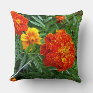 marigold in de zon kussen
