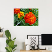 marigold in de zon poster (Thuiskantoor)