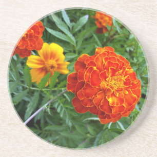 marigold in de zon zandsteen onderzetter