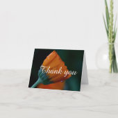 Marigold merci (Devant)