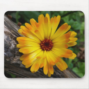 marigold op log muismat