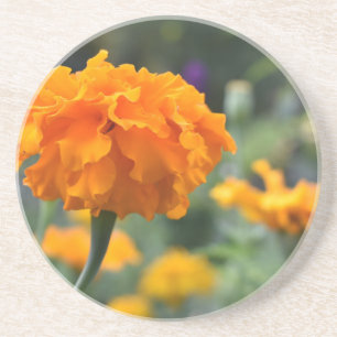 Marigold Oranje Natuur Fotografie Tuin Zandsteen Onderzetter