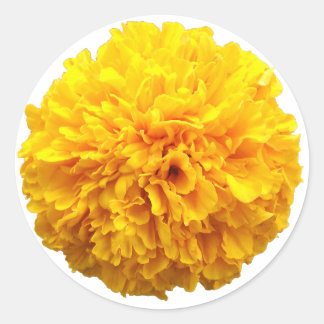 Marigold Ronde Sticker