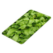 Marigold Seedlings Premium Magnet (Côté Gauche)