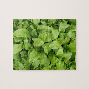 Marigold Seedlings Puzzle Legpuzzel