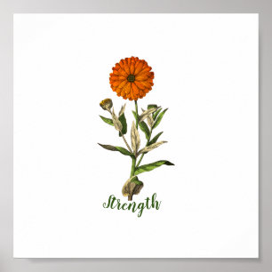 Marigold Sterkte Inspirerend Poster