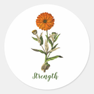 Marigold Sterkte Inspirerend Ronde Sticker