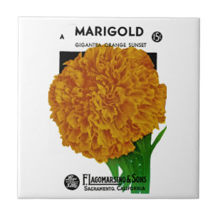 Marigold Vintage Seed Packet Tegeltje