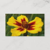 Marigold Visitekaartje (Achterkant)