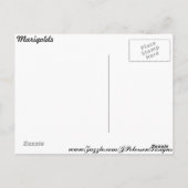 Marigolds # 5 briefkaart (Achterkant)