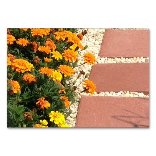 Marigolds Bloemen Patio straatstenen lezen Flashca Kaart (Voorkant)