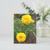 Marigolds Briefkaart (Staand voorkant)
