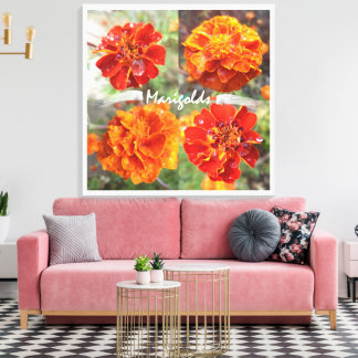 Marigolds Canvas Afdruk