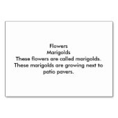 Marigolds Fleurs Pavés de Patio Lecture Cartes de  (Dos)