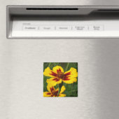 Marigolds Magnet (In Situ (Lave-vaisselle))