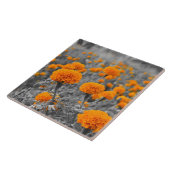 Marigolische bloemen tegeltje (Zijkant)