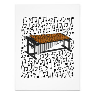 Marimba Musical Notities Percussionist Musician Foto Afdruk