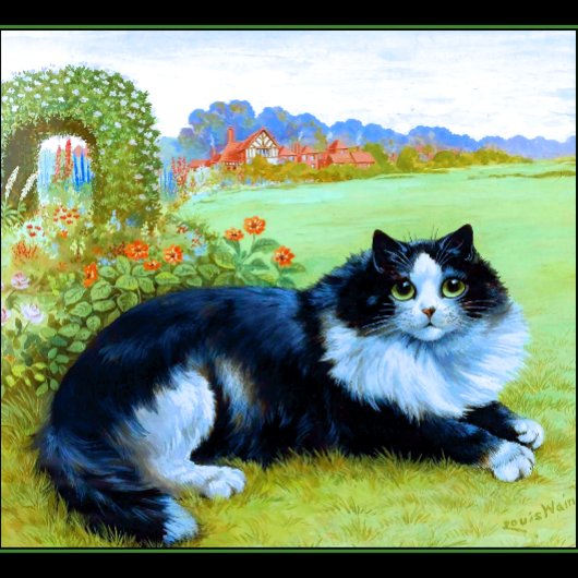 Marin County Mount Tamalpais T-shirt