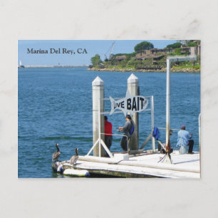 Marina Del Rey Vist Briefkaart! Briefkaart