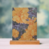 MARINA FILM ART ACRYL BORD (Neutraal)
