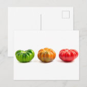 Marinda Tomaten Briefkaart (Voorkant / Achterkant)