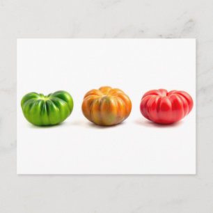 Marinda Tomaten Briefkaart