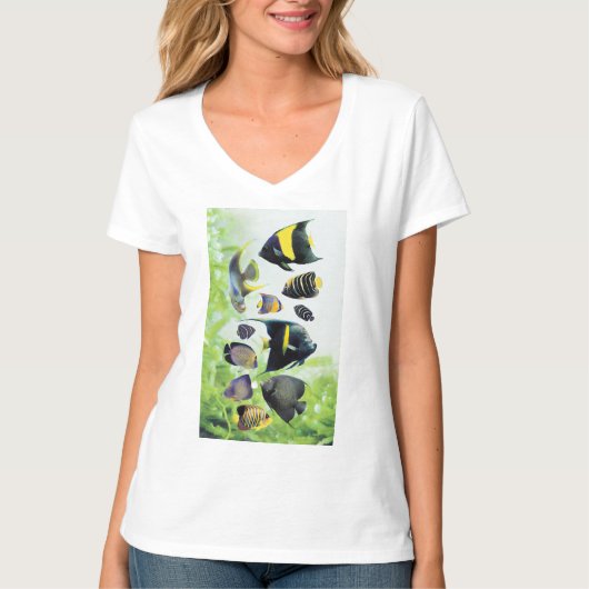 Marine Angelfishes T-shirt (Voorkant)