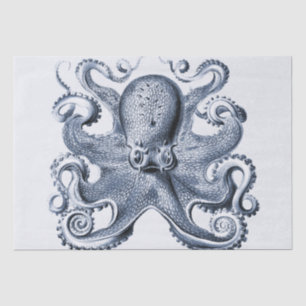 Marine blauwe octopus illustratie door Ernst Haeck Tissuepapier