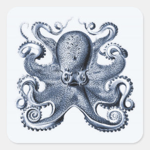 Marine blauwe octopus illustratie door Ernst Haeck Vierkante Sticker