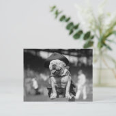 Marine Corps Mascot, jaren 20 Briefkaart (Staand voorkant)