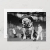 Marine Corps Mascot, jaren 20 Briefkaart (Voorkant / Achterkant)