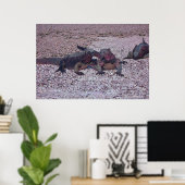 Marine Iguana Face off Poster (Thuiskantoor)