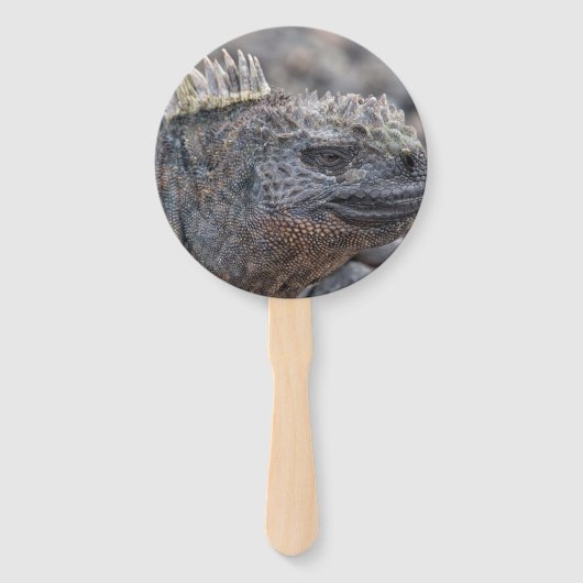 Marine Iguana Handwaaier (Voorkant)