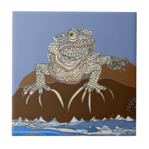 Marine Iguana on Rock met Hermit Crab Tegeltje