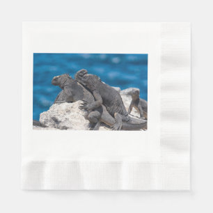 Marine Iguana Servet