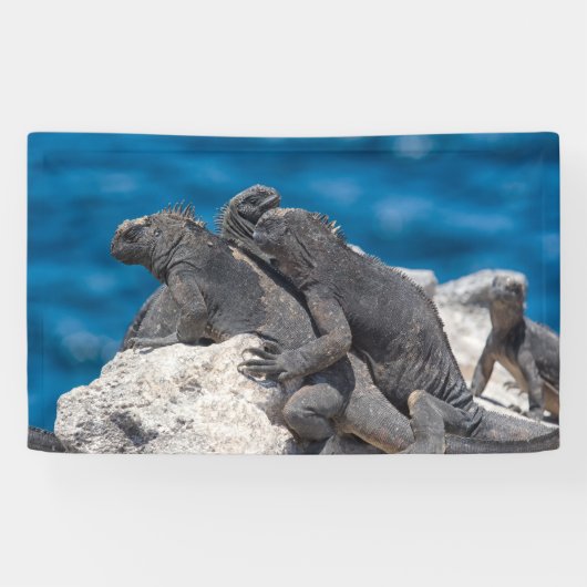 Marine Iguana Spandoek (Horizontaal)