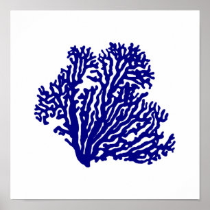 marineblauw op witte kustbodem poster