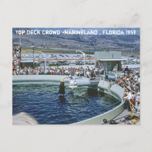  Marineland Florida Briefkaart (Voorkant)