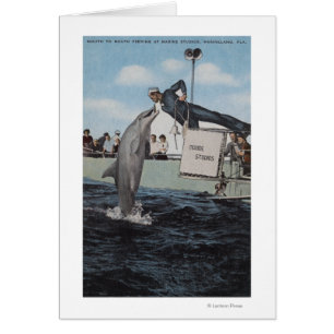 Marineland, Florida - Sailor Mouthfeed