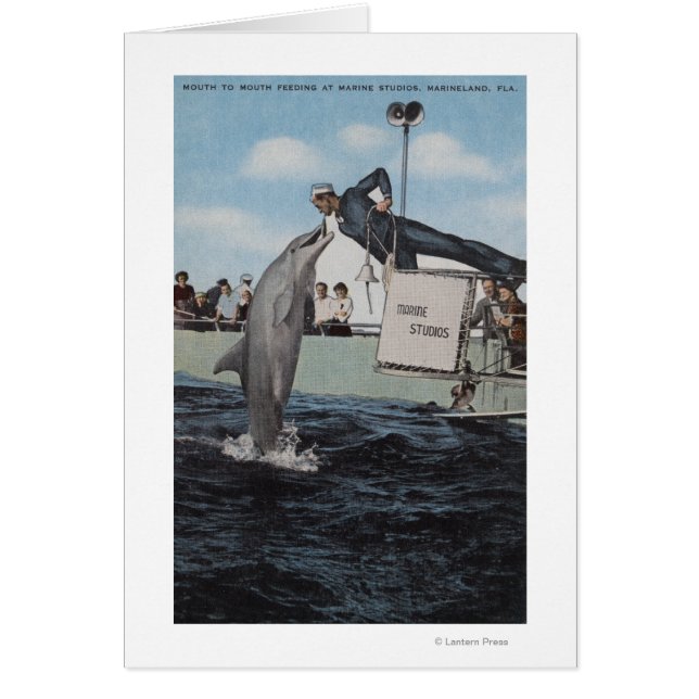 Marineland, Floride - Allaitement à la voile (Devant)