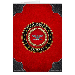 Marines américains : Colonel (Col de l'USMC) [3D]