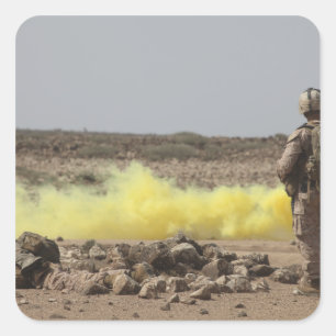 Marines bieden zekerheid vierkante sticker