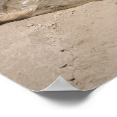 Marines Poster (Hoek)