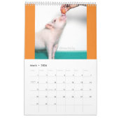 Marinez le calendrier de porc (Mar 2026)